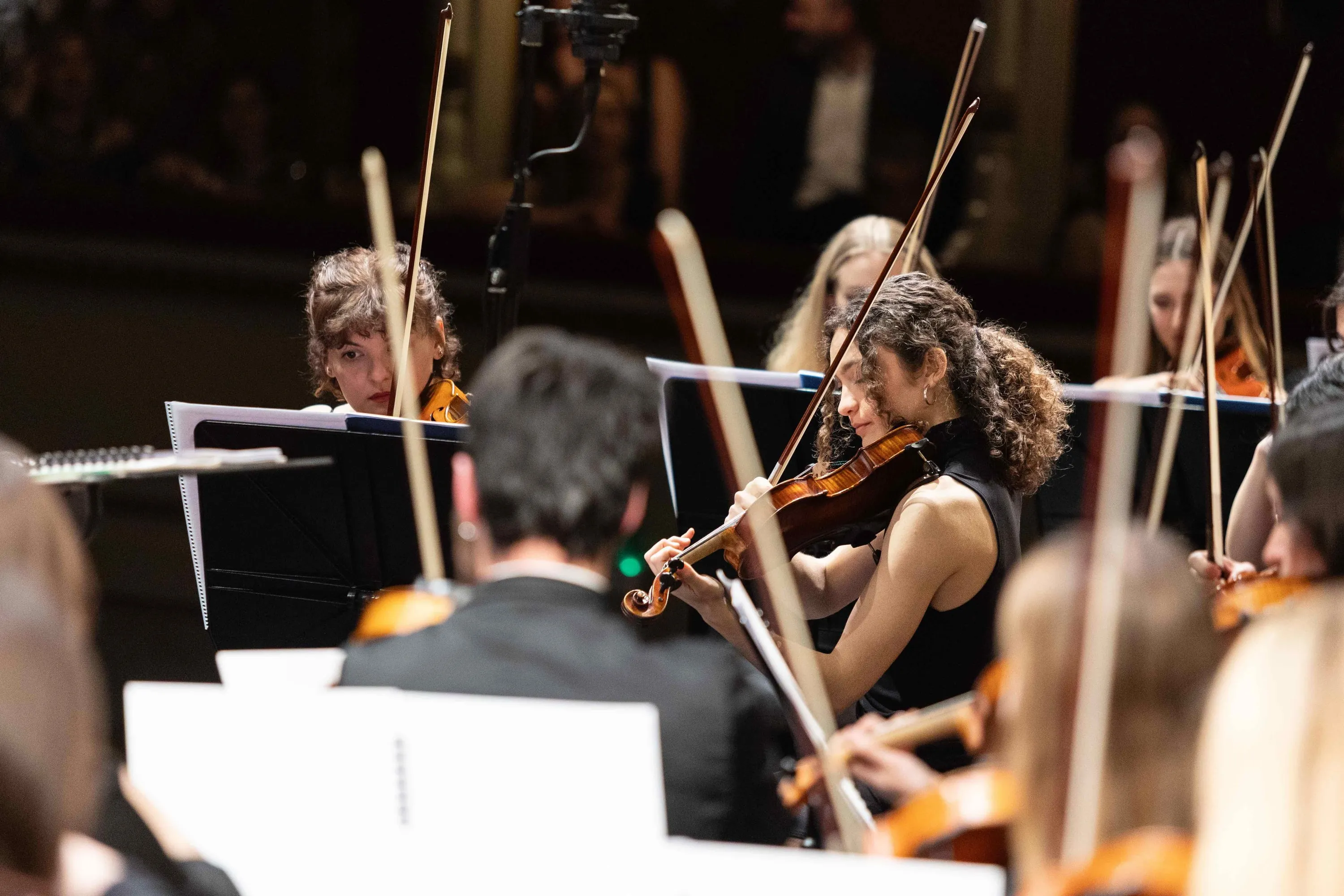 The orchestra's string section in the hall of La Scala
